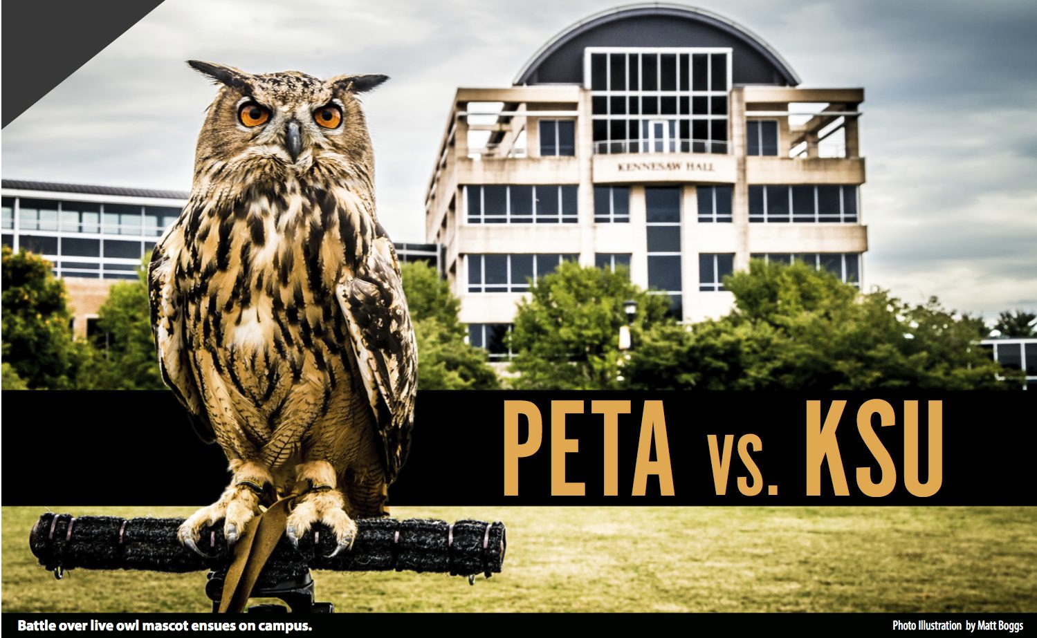 PETA vs. KSU