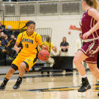 WBB: Owls drop second straight conference game at Stetson
