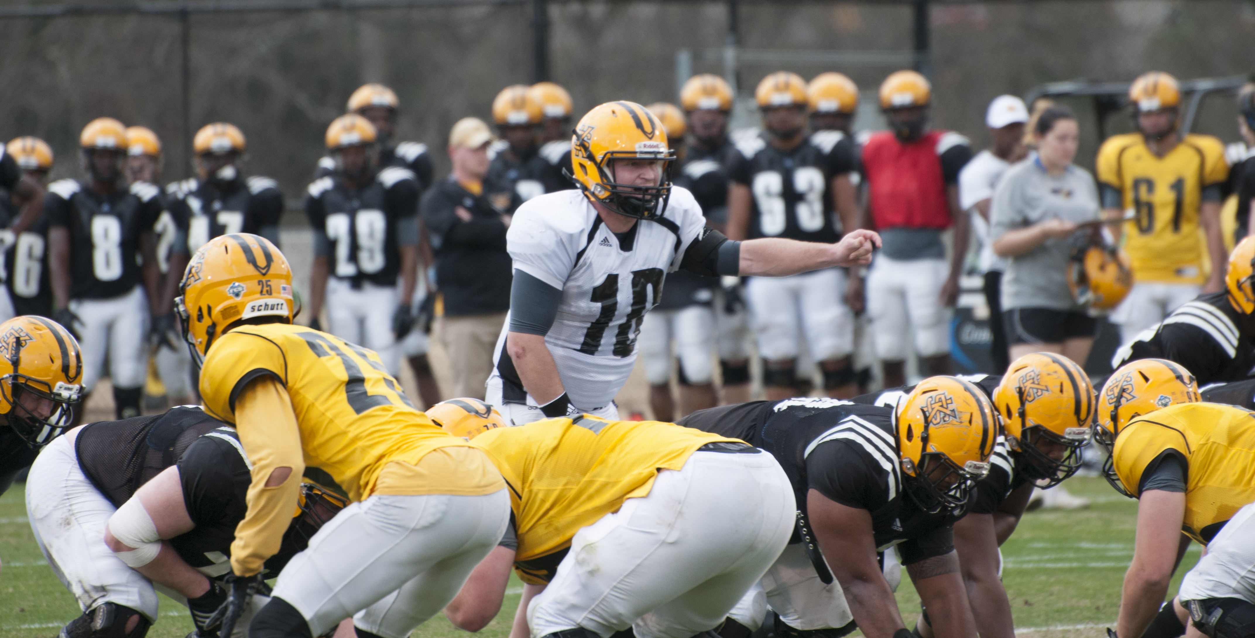 Owls Showing Progress after First Scrimmage of 2016