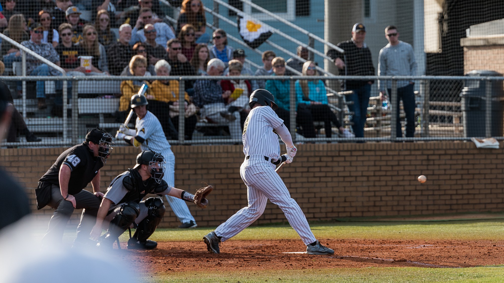 Baseball soars over Savannah State