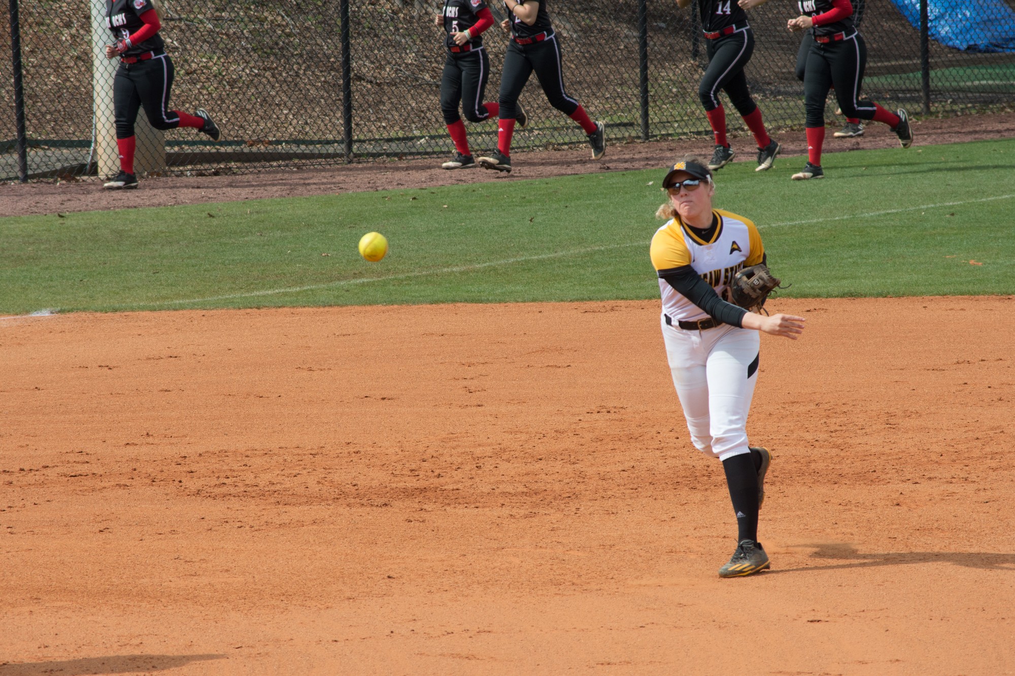 Softball picks up two wins against Stetson