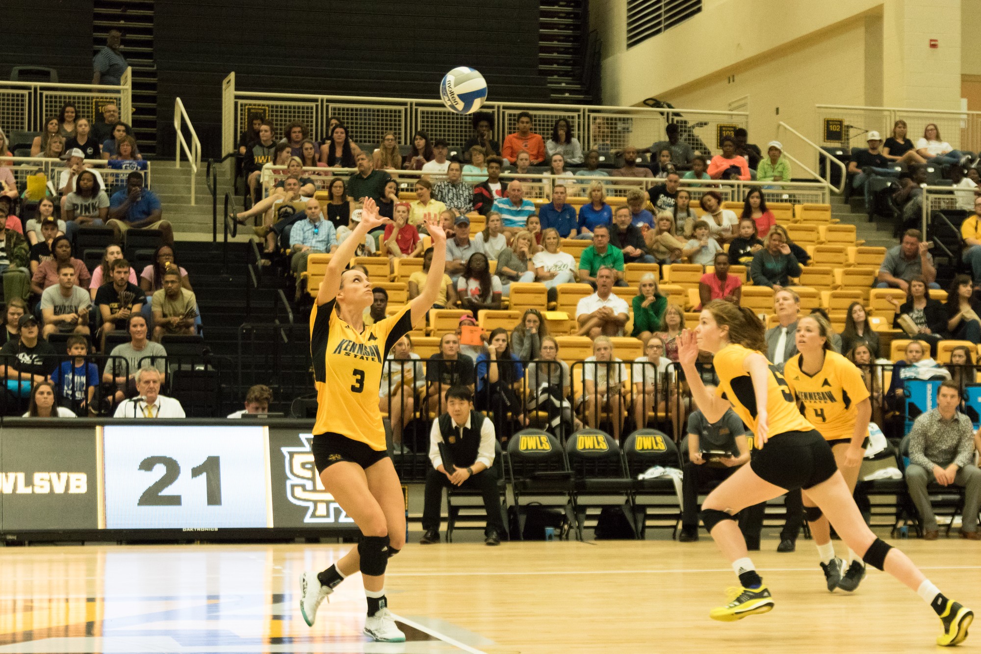 Volleyball remains perfect in conference play