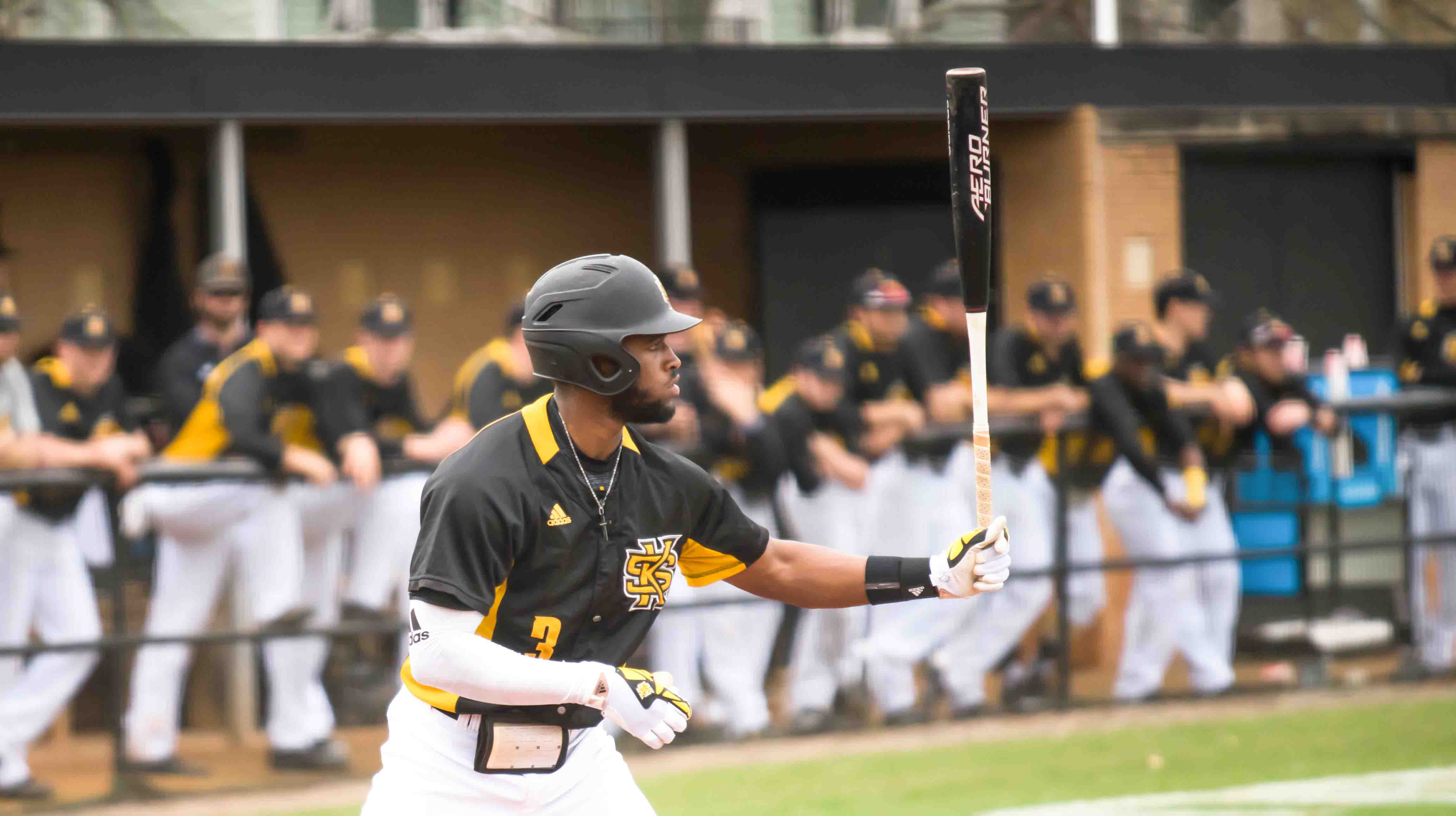 Owls baseball loses 3 straight over the weekend