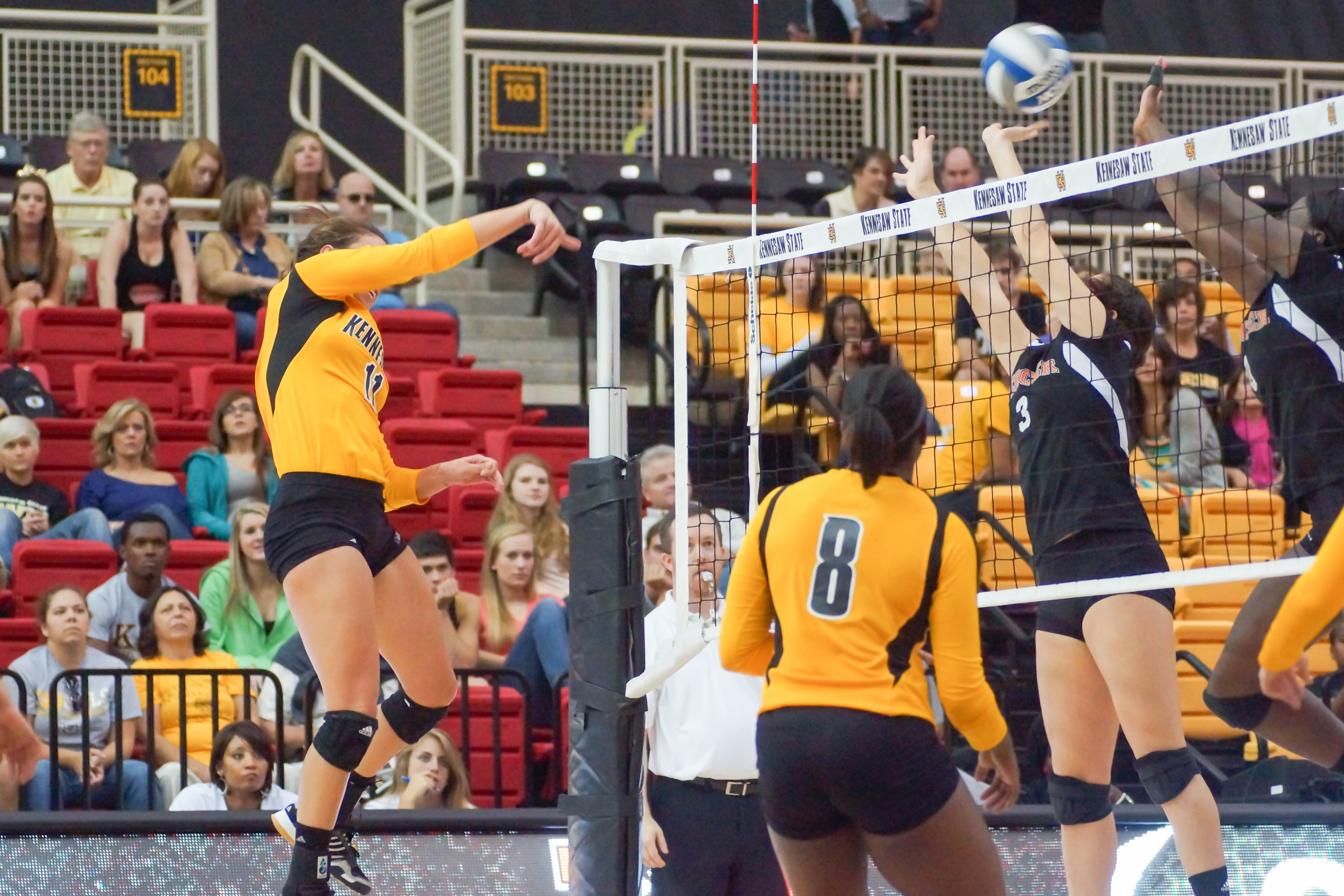 Volleyball seeks to defend ASUN title