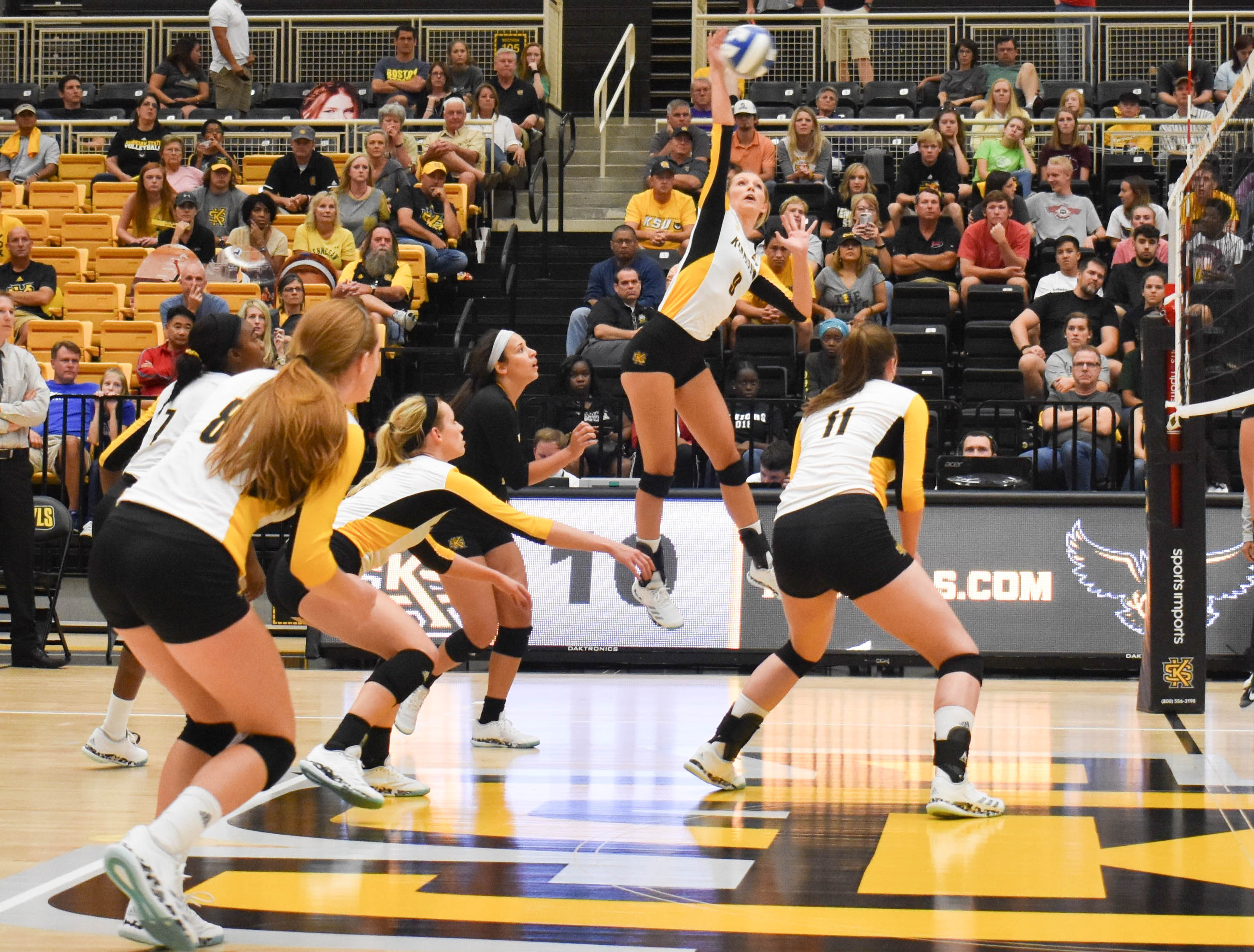 Consecutive sweeps for volleyball as ASUN slate begins