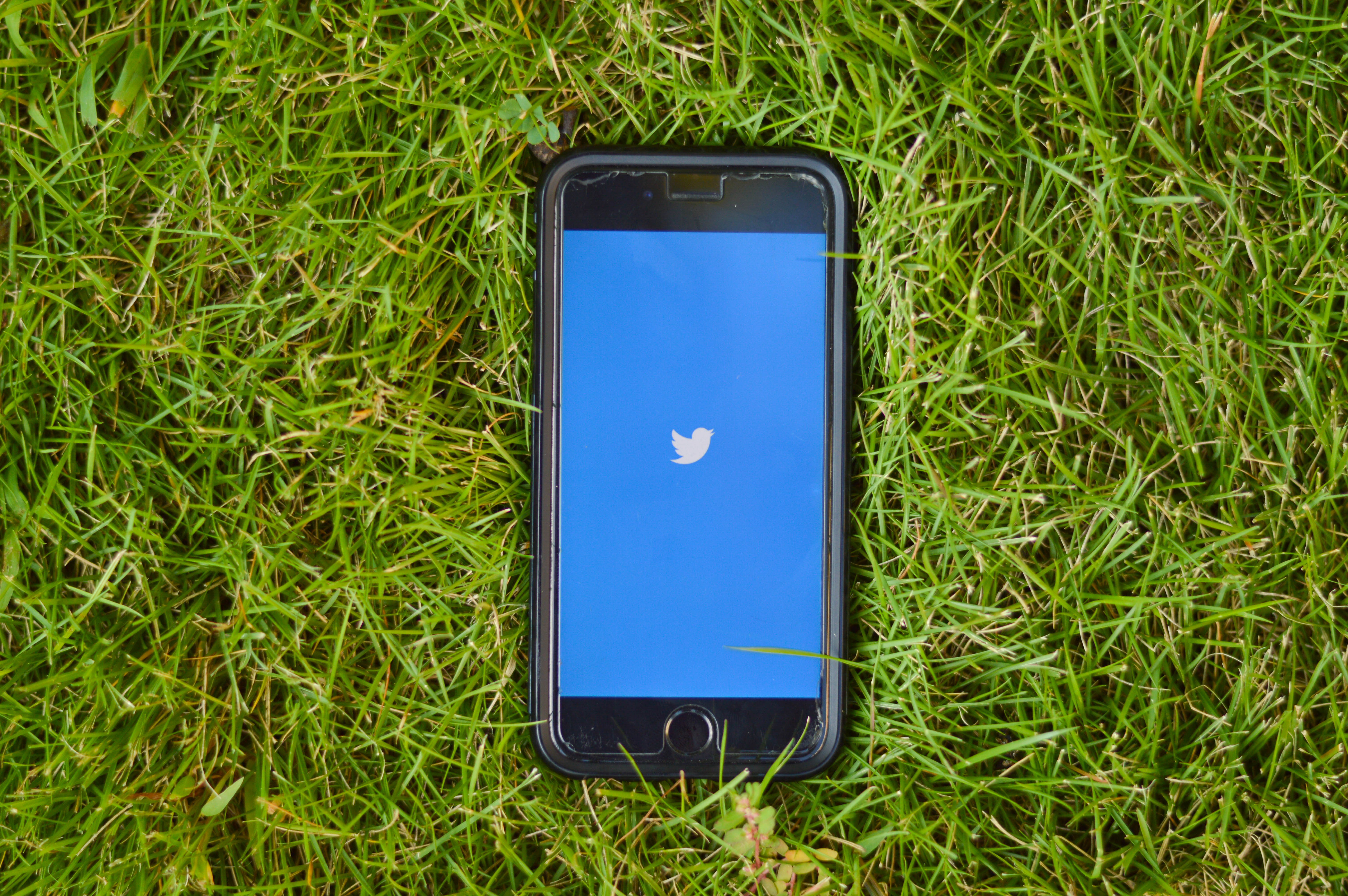 OPINION: Personalized Twitter algorithms create intellectual isolation