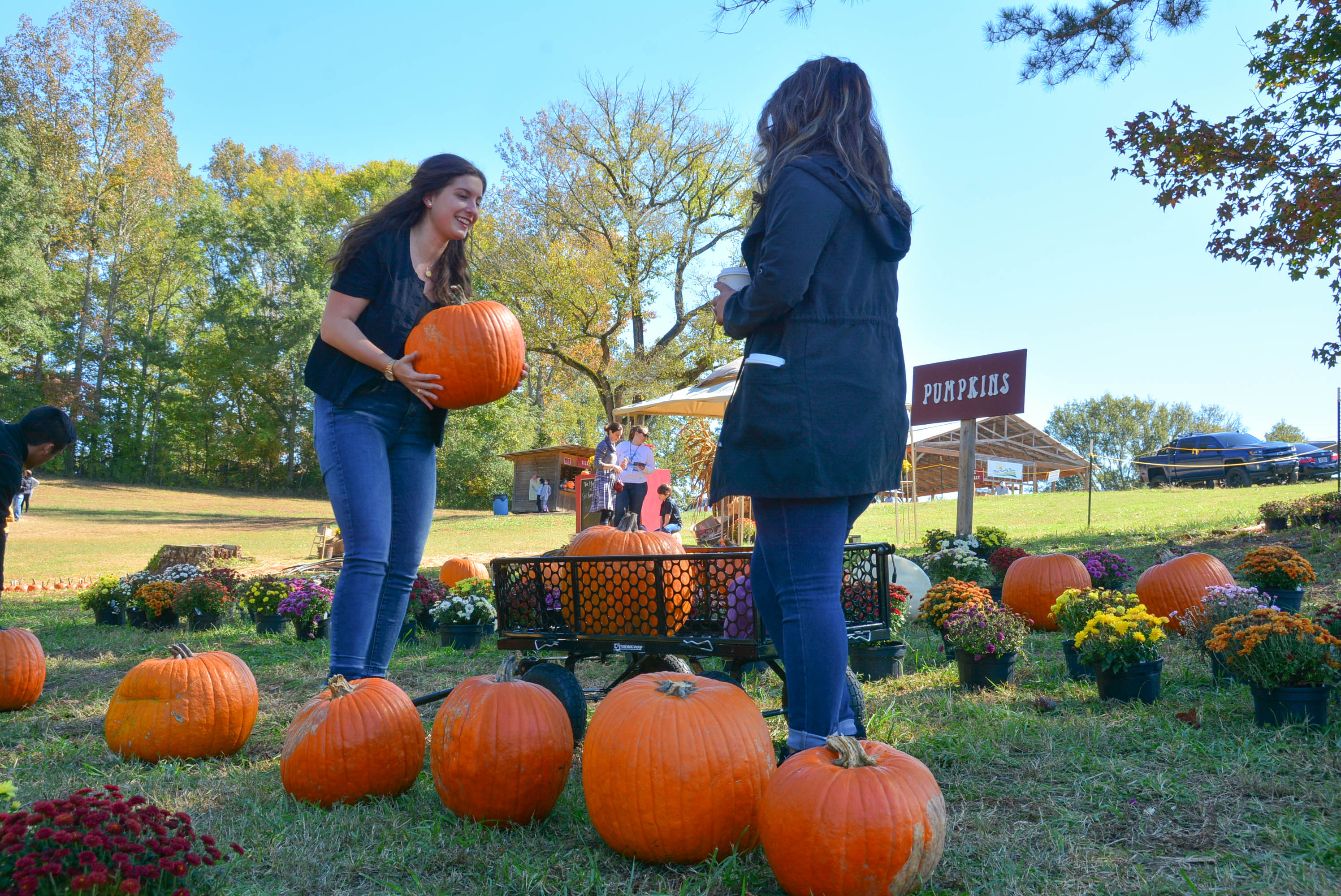 SATIRE: Mysterious pumpkin patch puts students on edge