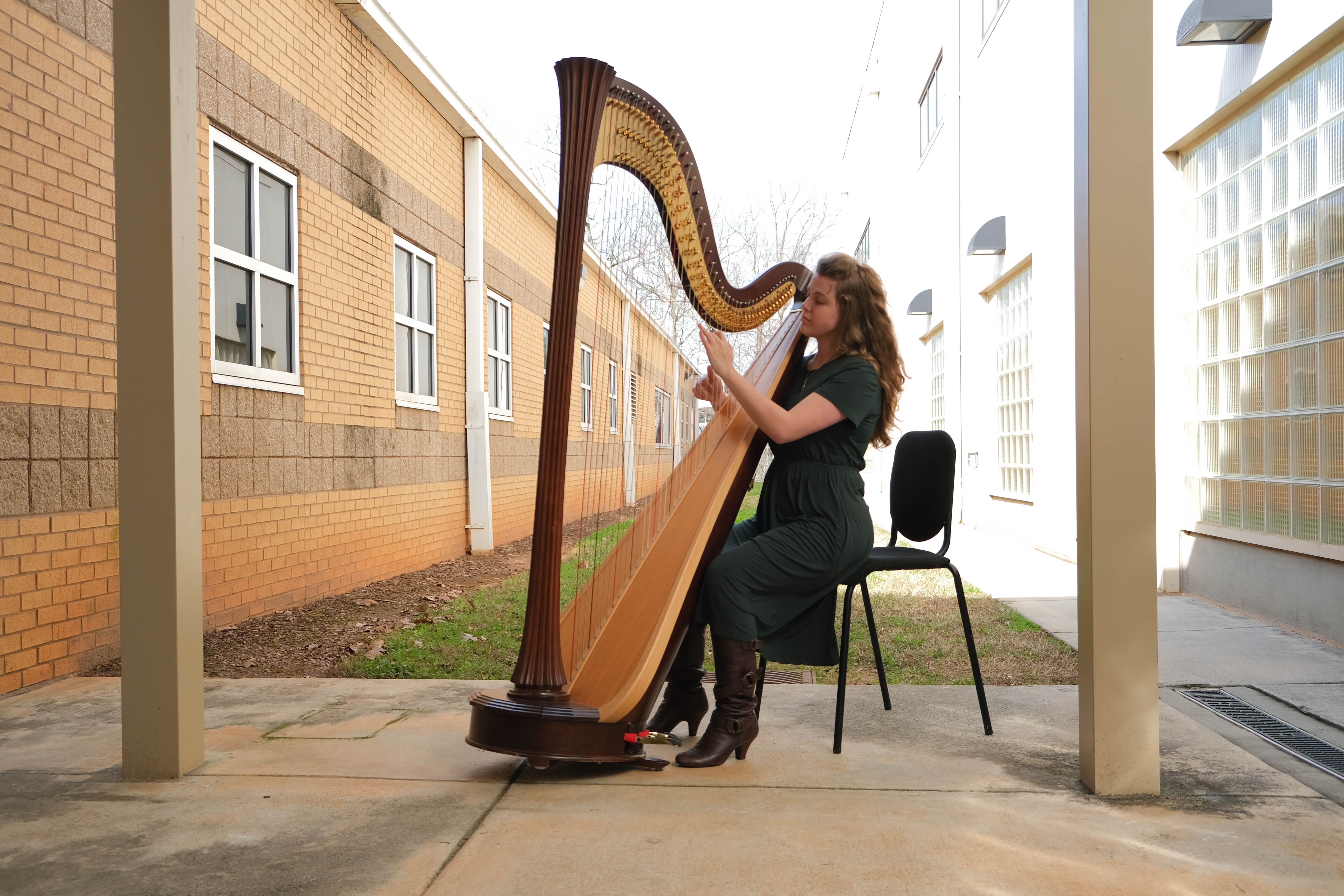 Student harpist earns music scholarship