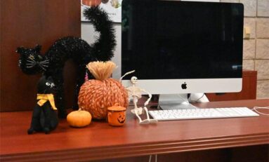 How to decorate for Halloween on a budget