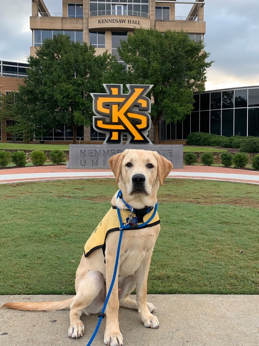 Many people at Kennesaw State have service dogs with them on campus. It is important to understand the proper etiquette when encountering a service animal. Even though they are cute, they are working so it's best to respect them and their owner. Photographer: Julia Walsh.