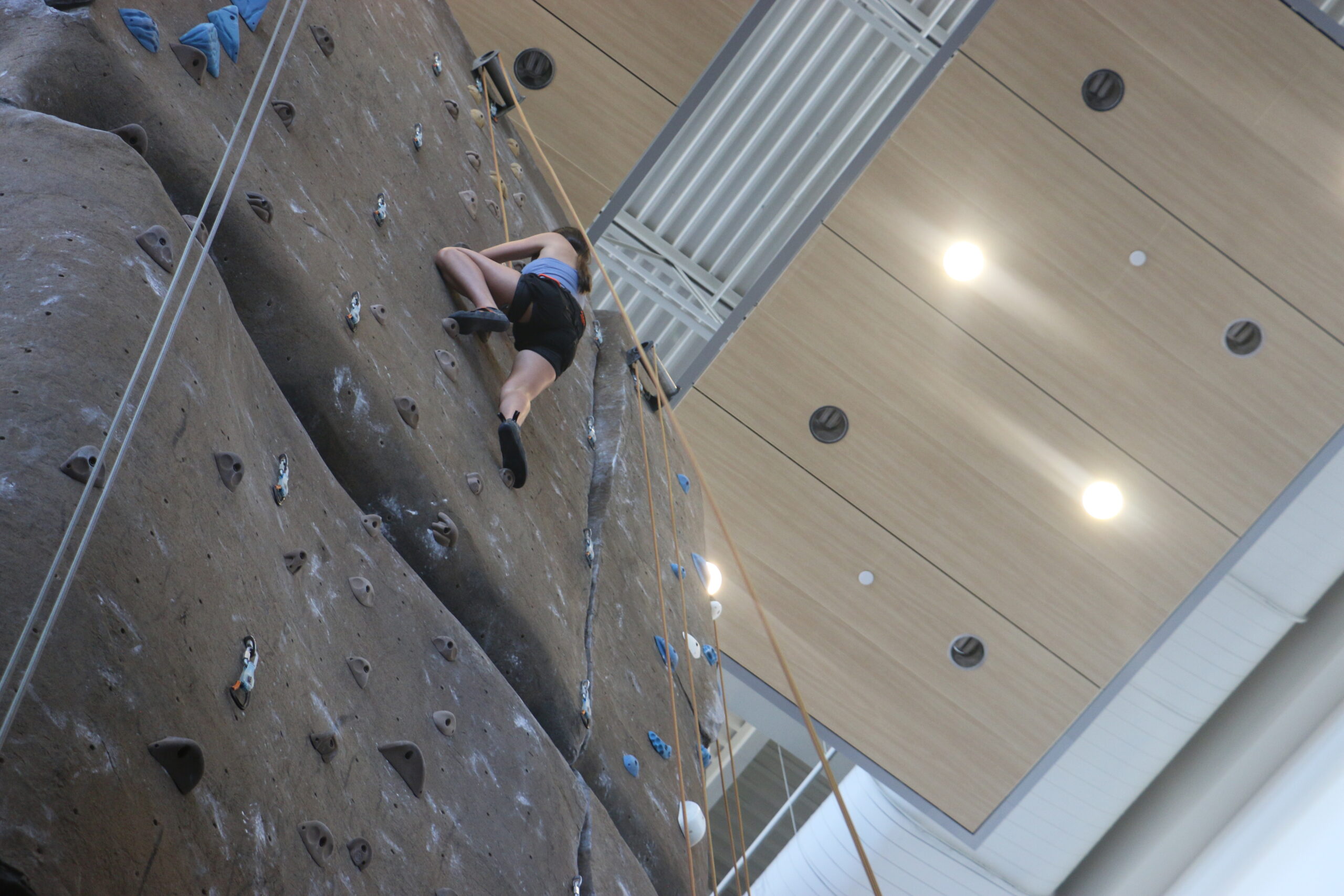 Climbing Gym empowers women, creates safe environment to rock climb