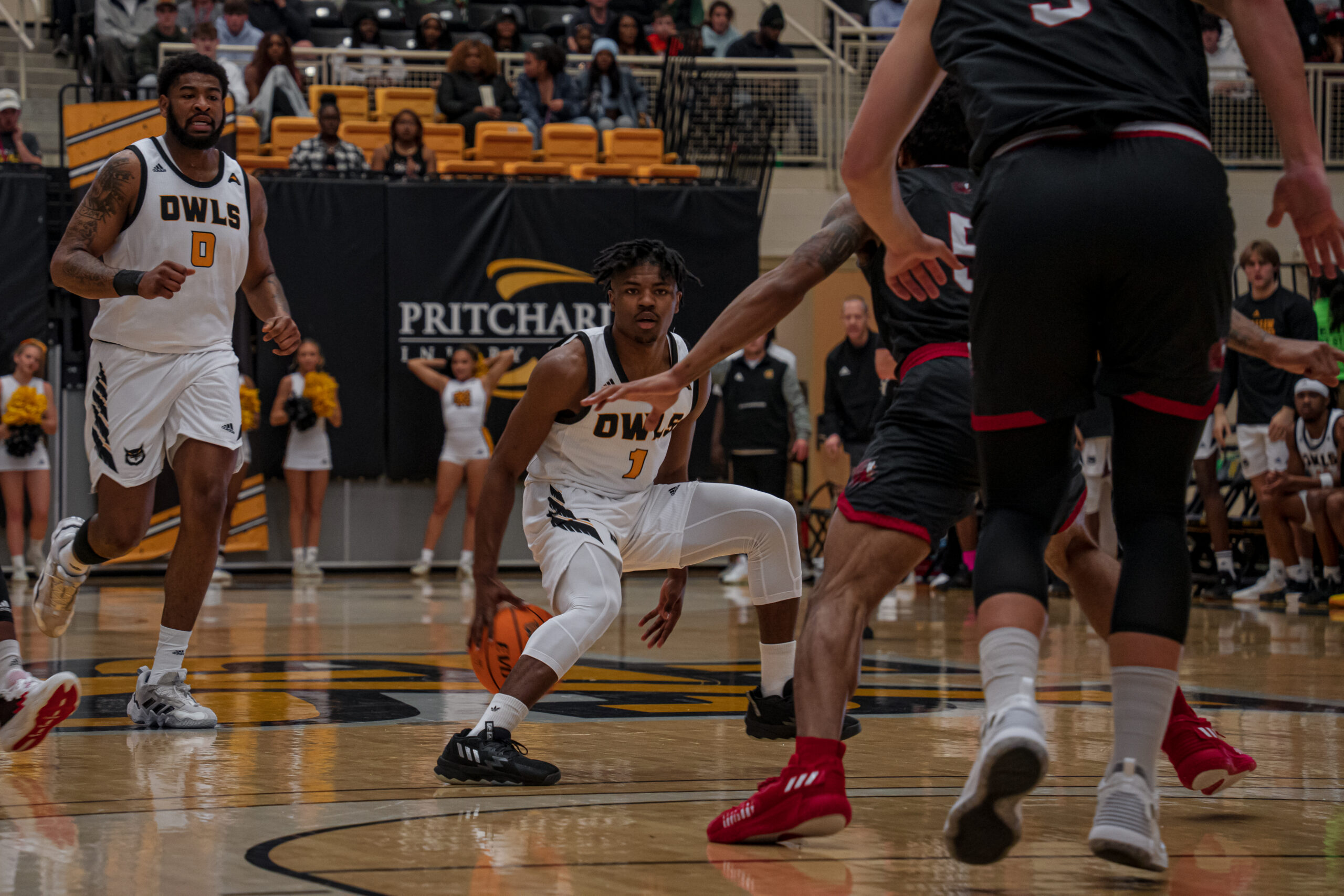 Men’s Basketball reaches 20 wins sweeping Jacksonville State