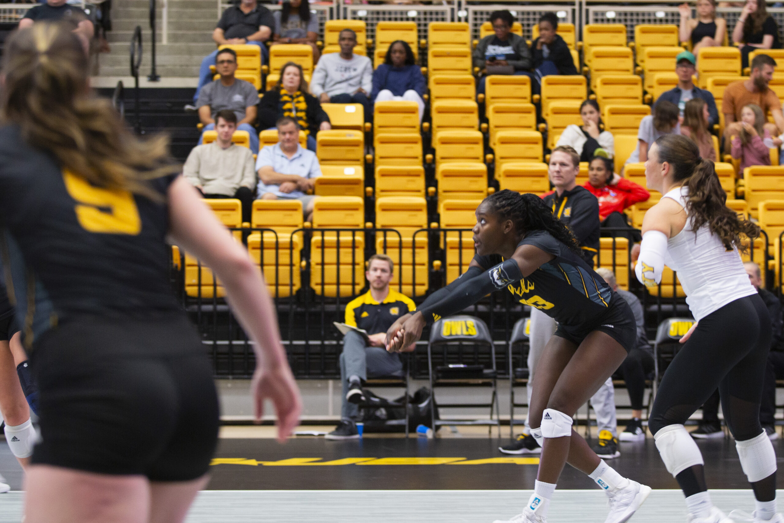 Wealthy in experience, Owls volleyball eyes title shot in 2025