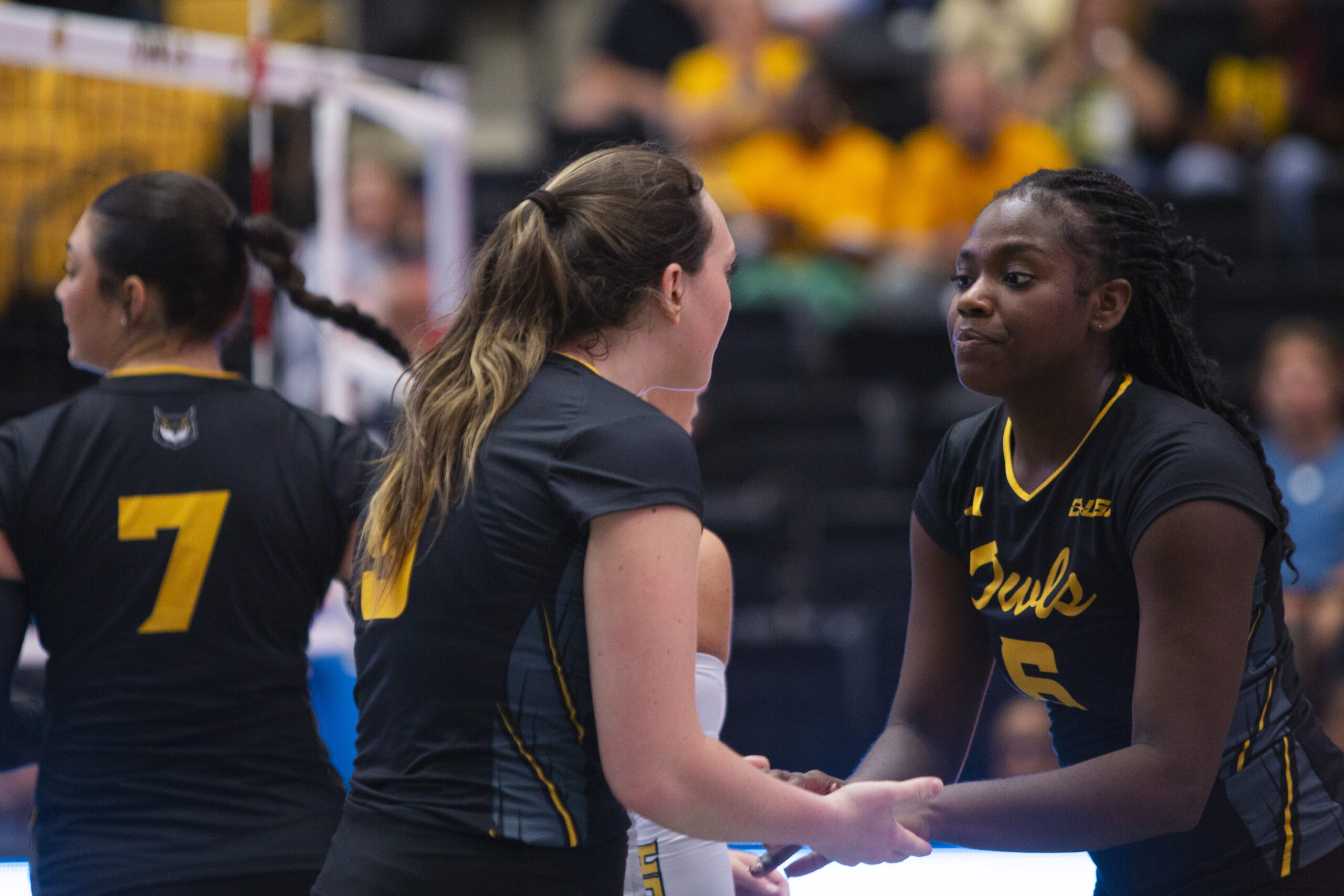 Volleyball sweeps Jacksonville State, extends home momentum